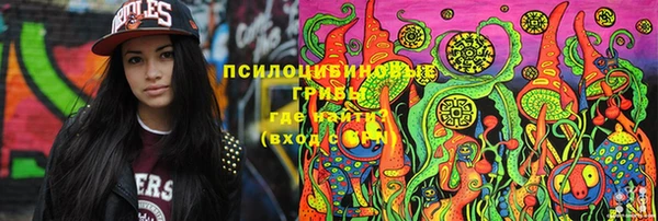 молекула духа Абинск