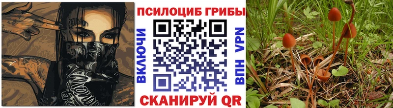 Псилоцибиновые грибы GOLDEN TEACHER  Комсомольск-на-Амуре 